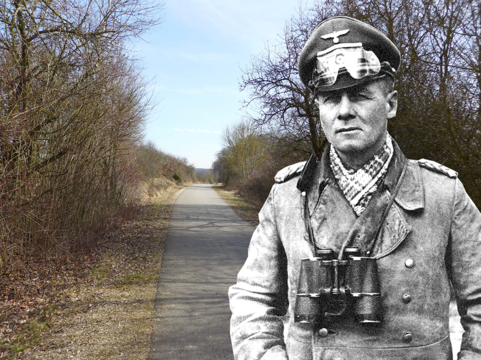 No Exit How Rommel Was Forced To Commit Suicide