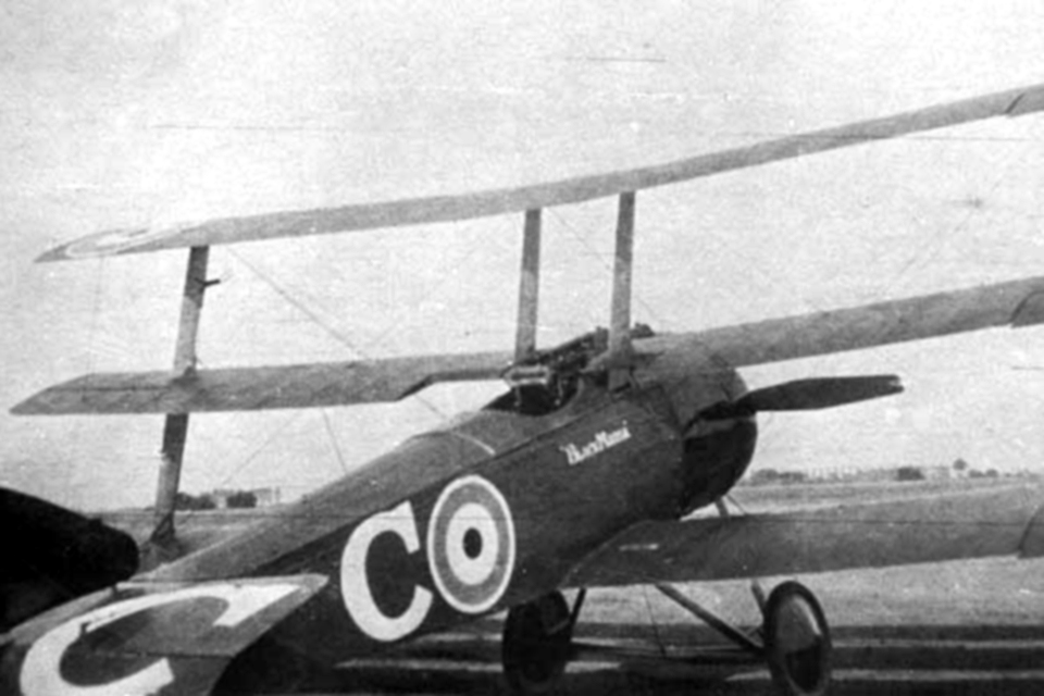 The Triplane Fighter Craze of 1917