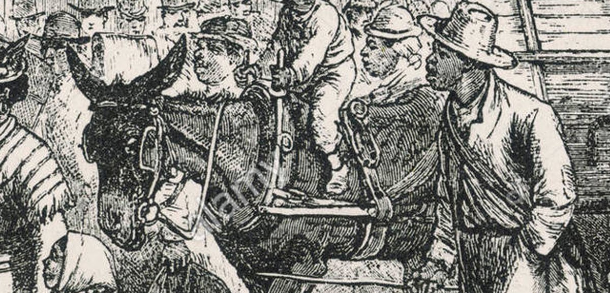 civil-war-era-slaves