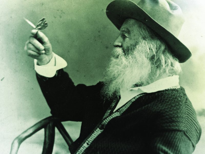 walt-whitman