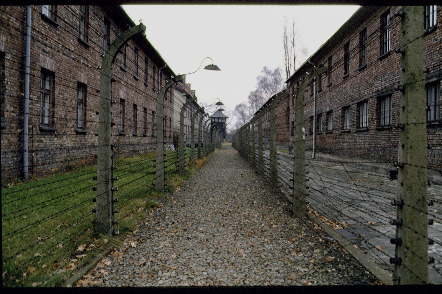 auschwitz tour without guide