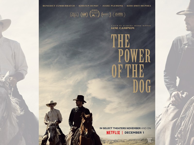 The Power of the Dog movie poster