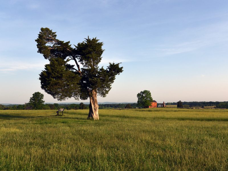 View from Henry Hill at Manassas Battlefield