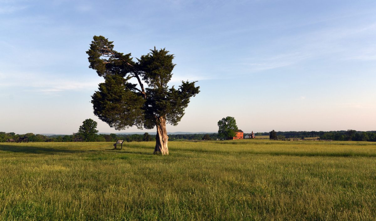 View from Henry Hill at Manassas Battlefield