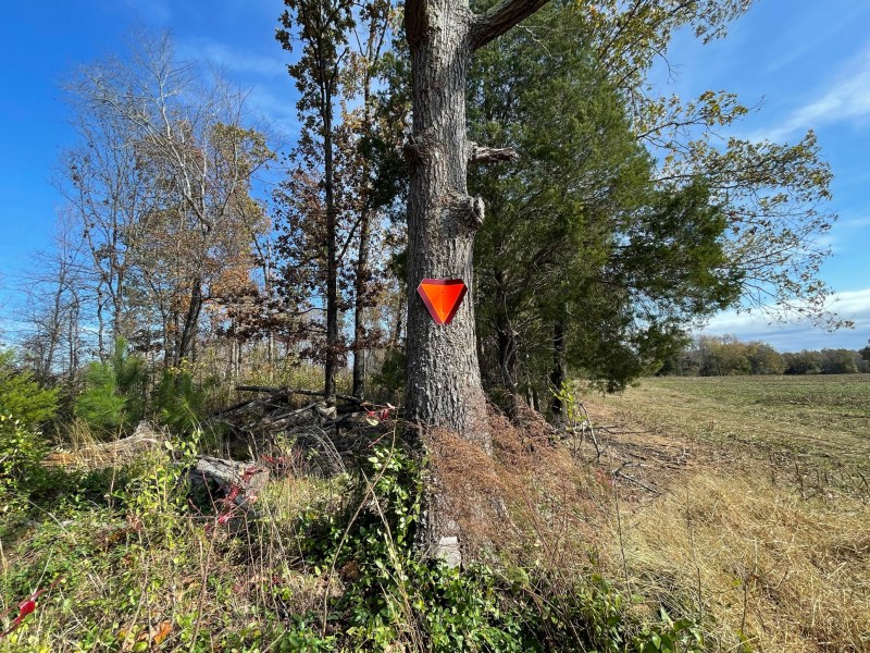 Hicks Field, Parker’s Crossroads, Tenn.