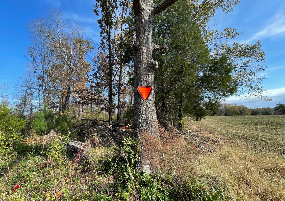 Hicks Field, Parker’s Crossroads, Tenn.