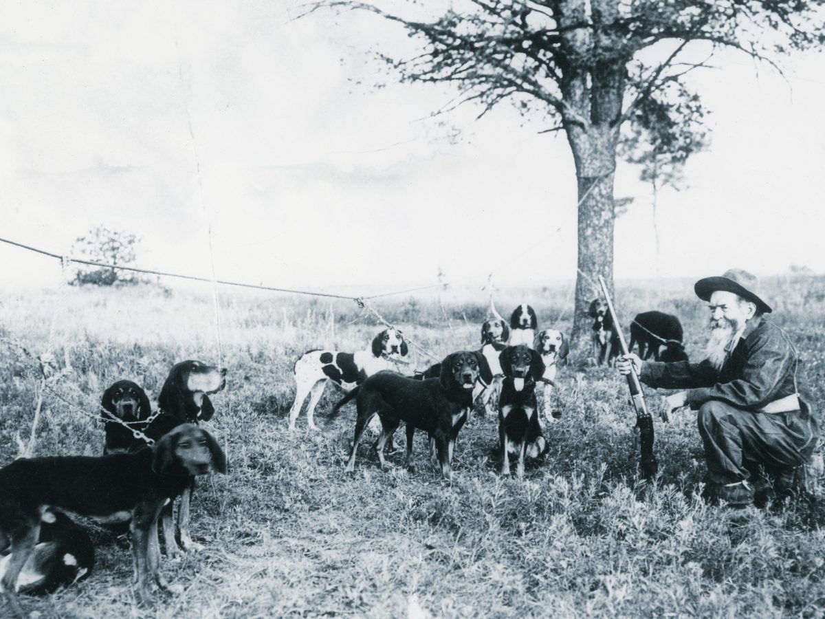 Ben Lilly with group of hounds