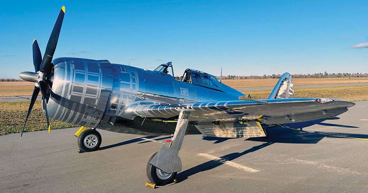 P-47 - | サンゴ通販オーストラリア産シコロサンゴsp. (Orange)（個体