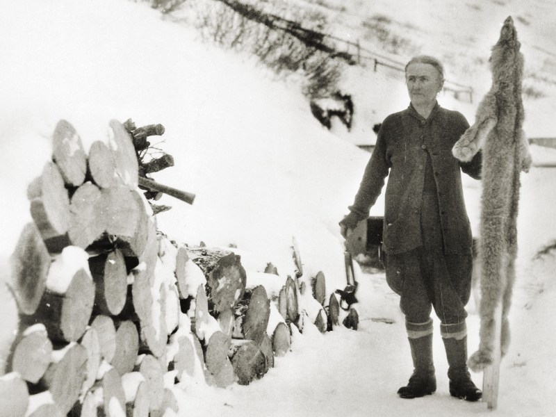 Fannie Quigley holding a wolf hide in the snow