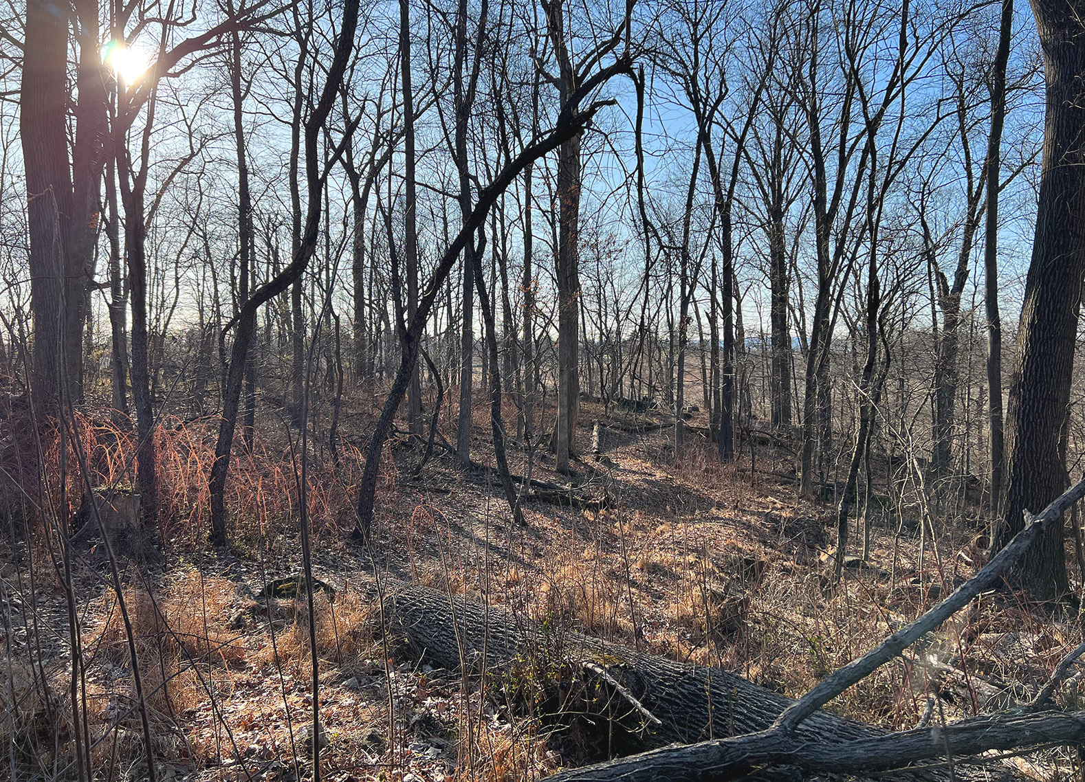 Evolution of a Battlefield: Early Photographs of Gettysburg Showcase ...