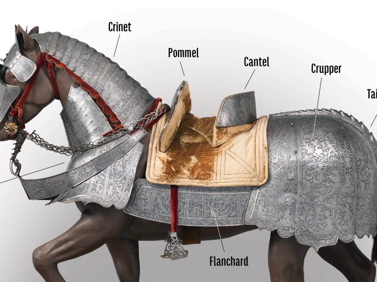 horse-armor-diagram