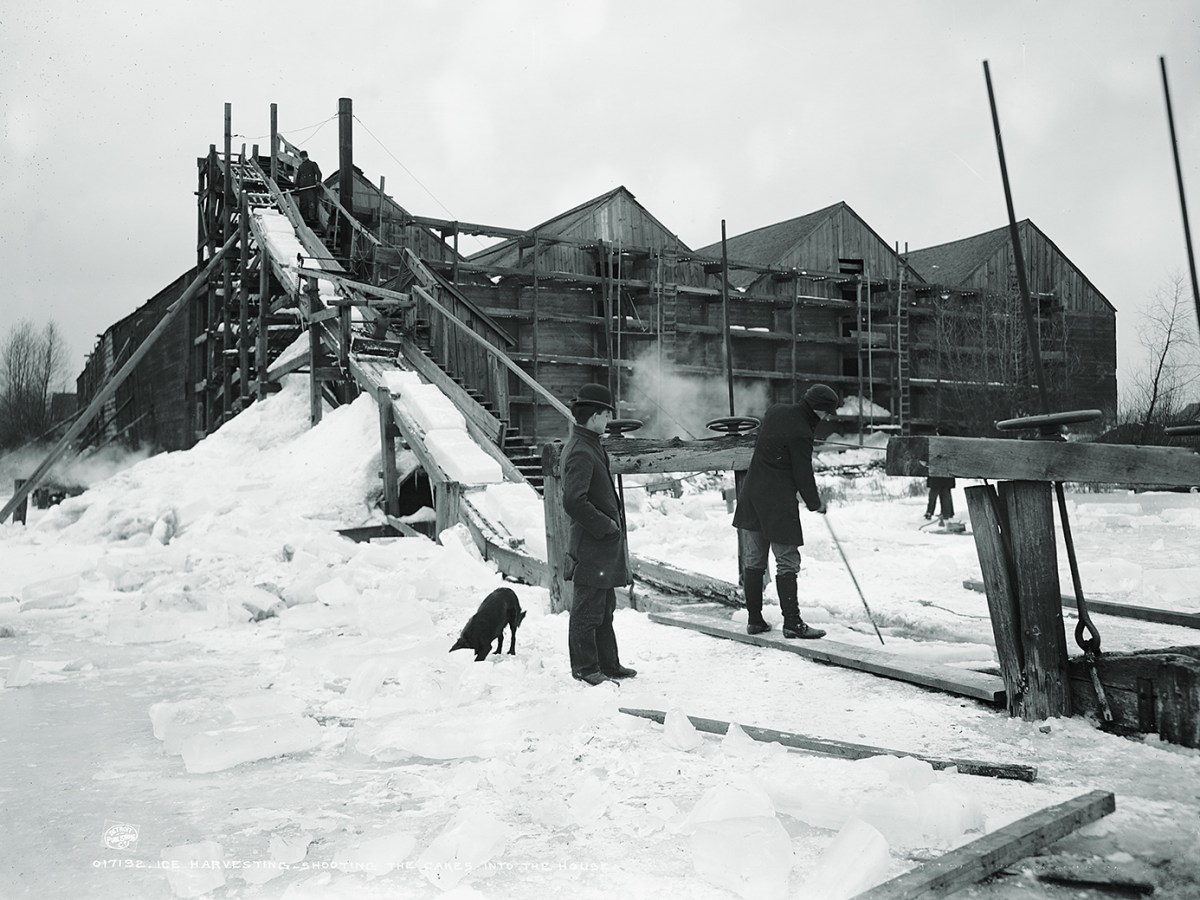 Photo of ice harvesting, shooting the cakes into the house.