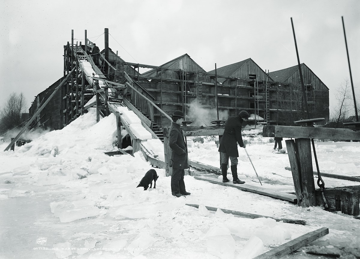 Photo of ice harvesting, shooting the cakes into the house.