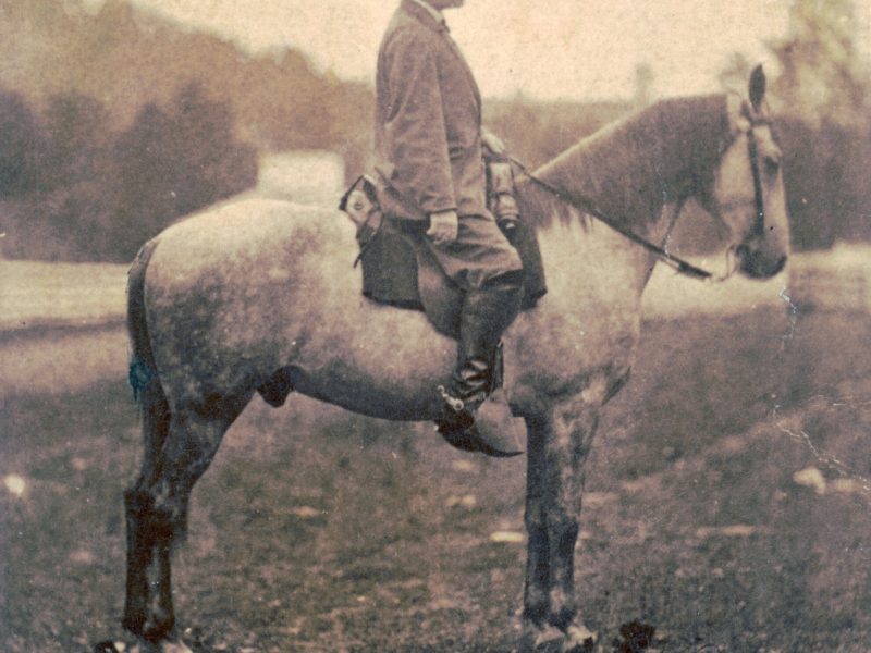 Robert E. Lee and Traveller