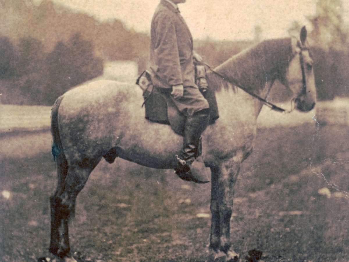Robert E. Lee and Traveller