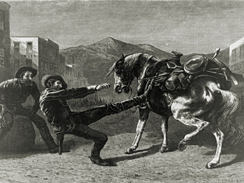 A print labeled, To the black hills, or bust.