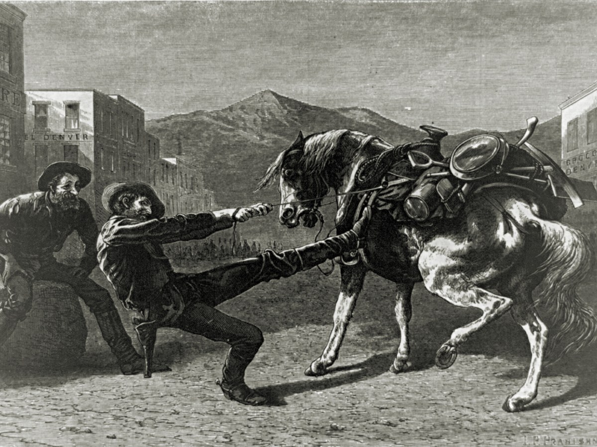 A print labeled, To the black hills, or bust.