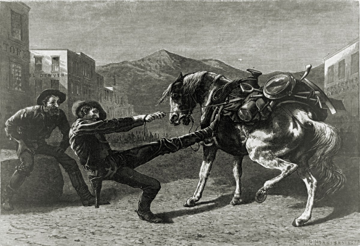 A print labeled, To the black hills, or bust.