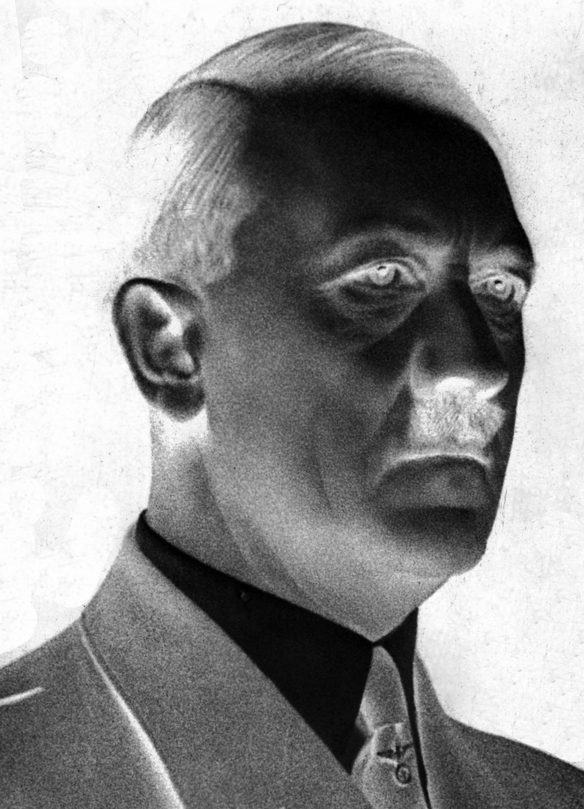 adolf-hitler-negative